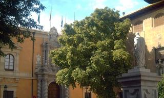 Location Appartement à Centro - Sagrario. ¡alquiler de piso para el curso 2025/2026! ?