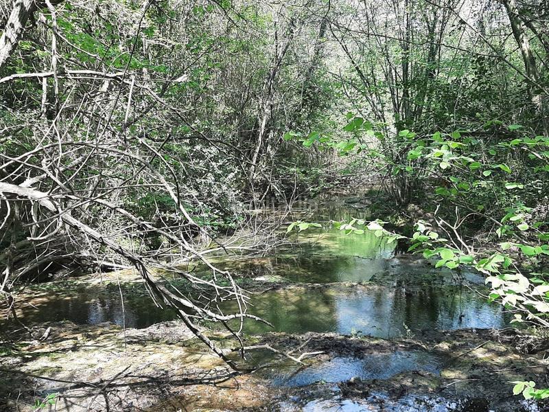 Foto 02beef93-0613-4899-9458-9754b8149996. Terreno residenziale in Sant Martí de Llémena