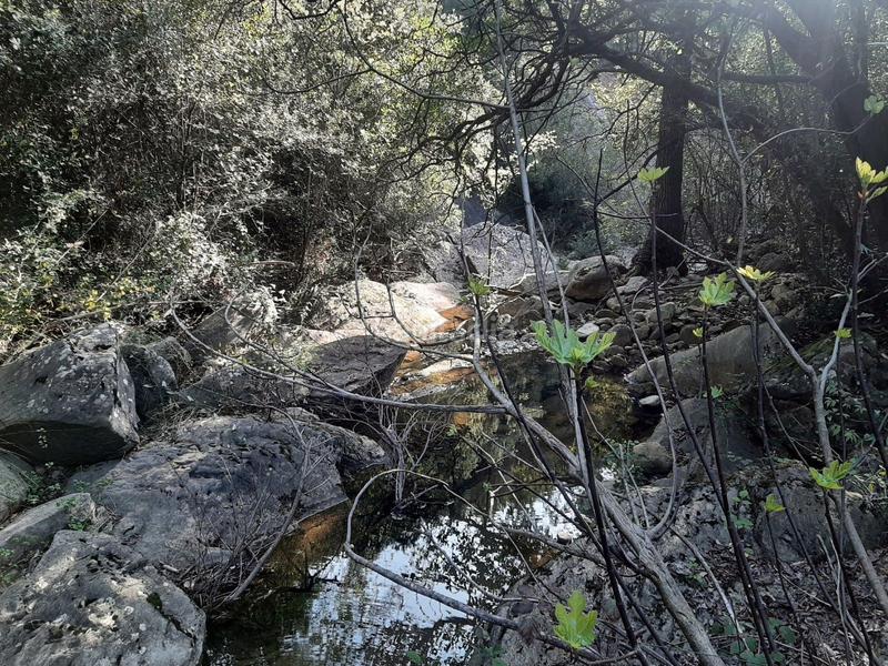 Foto 5dc1a799-8844-438e-a7ef-12eb69c14d9a. Terreno residenziale in Sant Martí de Llémena