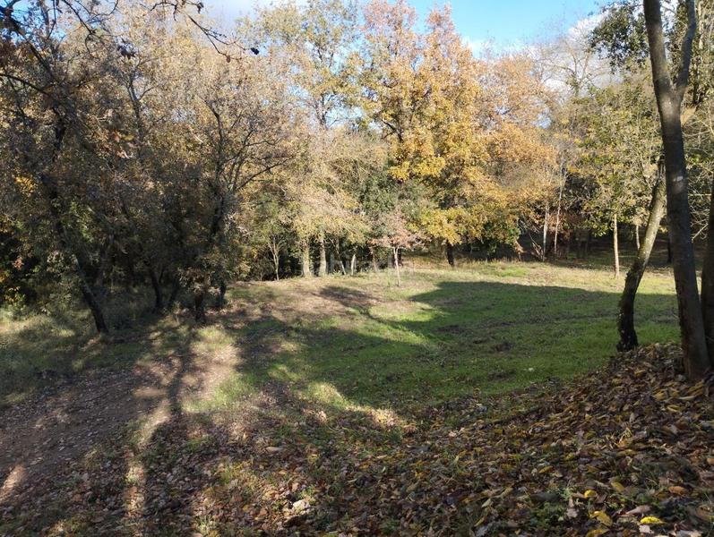 Foto 3364bc5e-90e6-46cf-bab7-dbeffc8fef45. Masía finca rústica con 2 masías! en Quart