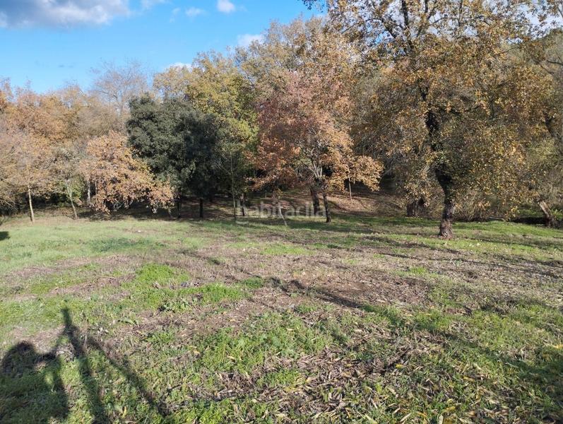 Foto 39d61acf-8b4c-4147-9a6c-2e7121bf12cd. Masía finca rústica con 2 masías! en Quart