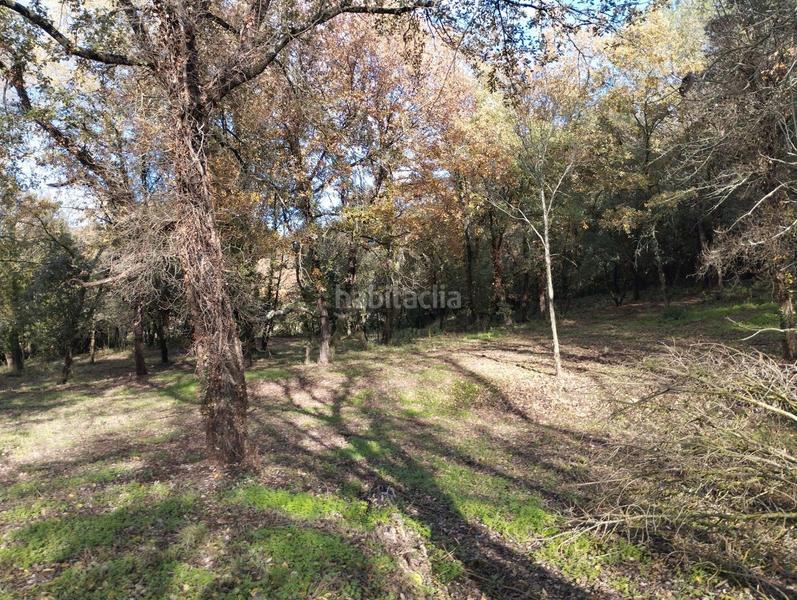 Foto 3efd4128-149f-4277-87ad-7b9a52a33886. Masía finca rústica con 2 masías! en Quart