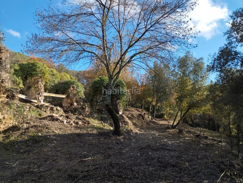 Foto 4b86abd4-6bcd-4df9-86e9-990cace9b2e6. Masía finca rústica con 2 masías! en Quart