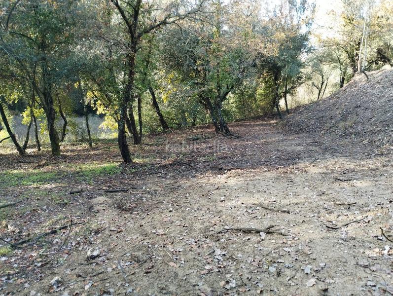 Foto cfacd7df-d0b8-49f7-80fe-bbf2cbf1e52a. Masía finca rústica con 2 masías! en Quart