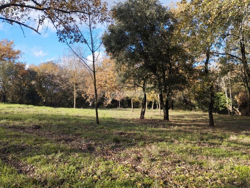 Foto d948bf31-e323-46c7-9175-f465eb3140a7. Masía finca rústica con 2 masías! en Quart