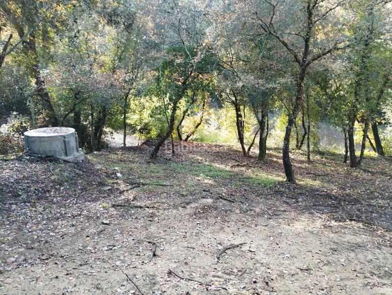 Foto deeb6345-438b-4292-b208-f53facba7b33. Masía finca rústica con 2 masías! en Quart