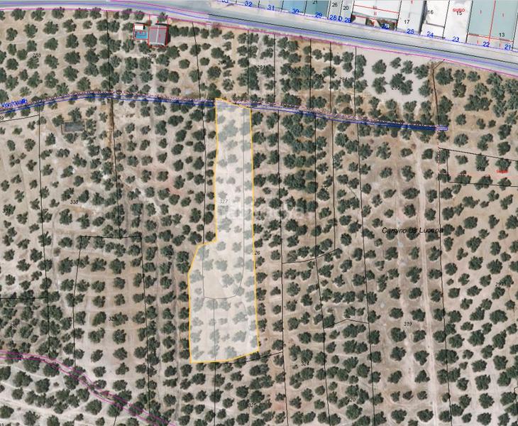Foto bfa324c4-ccc7-45f9-a78a-dfaddd5fa7c6. Rural plot in co-7218 29 in Rute