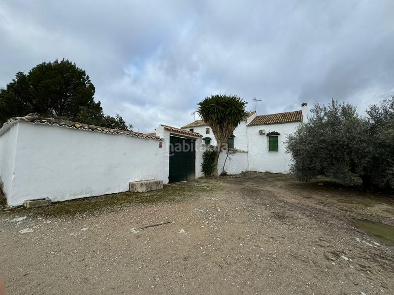 Foto 15732d95-49ef-40d2-820d-582a162238ae. Casale in Rute