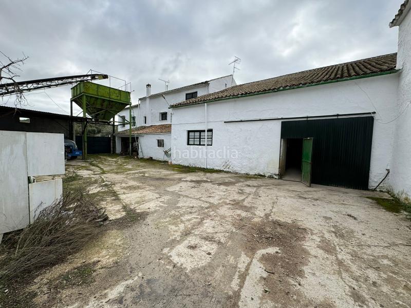 Foto 42cfd6da-7fc3-4697-97bc-20d290cdd72b. Casale in Rute