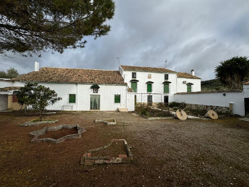 Foto bb94f45f-cf14-466e-8b2a-68ddc7472b55. Casale in Rute