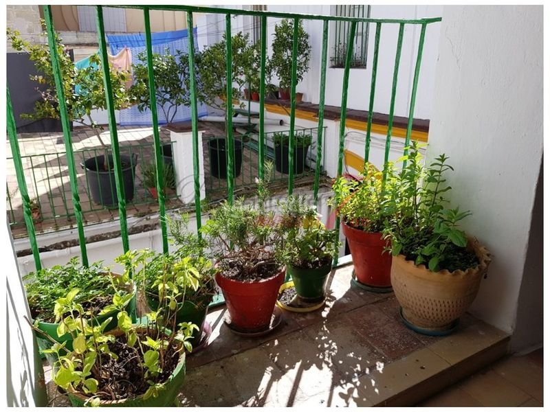 Foto c4ff05a1-e0c8-4d5e-ba4c-161ff8bcab53. Casa a Centro Jerez de la Frontera