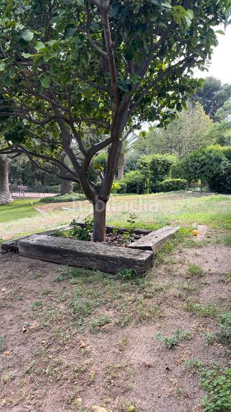 Foto 7b3f9aa1-bbbf-4f05-b85b-cdb9a8ecec62. Penthouse with parking pool in Centre Esplugues de Llobregat