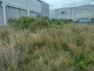 Rent Industrial plot in Mas Rampinyo - Montcada Nova - Carrerada. Solar industrial, llano con todos los servicios.