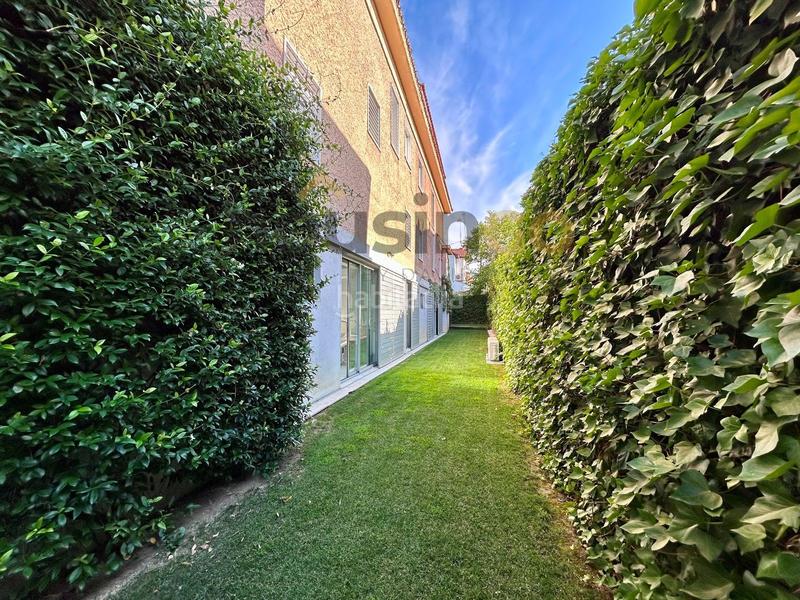 Foto f3adcacd-2f36-40de-bc81-d293ba854d72. Alquiler piso habitación en alquiler en calle triana en Madrid