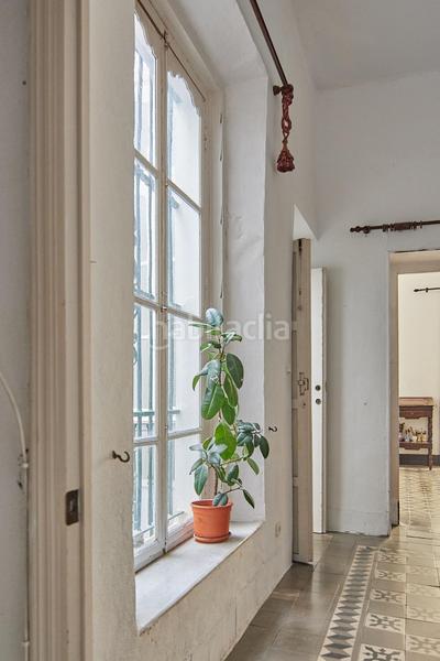 Foto f96f6056-20bf-47ef-b605-9e5fa0e8eabd. Piso  amplio con terraza y mucho encanto en Centro Histórico Cádiz