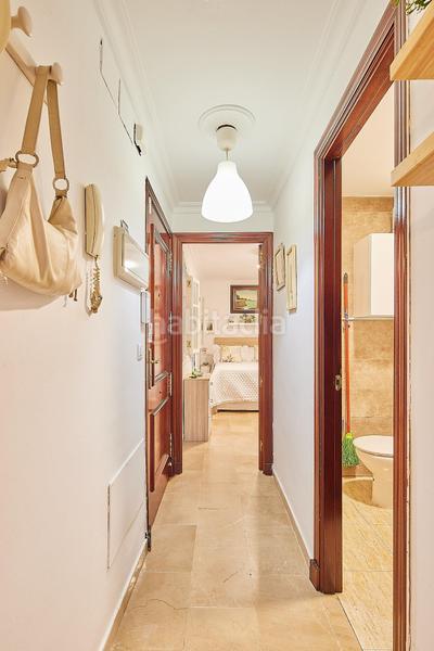 Foto a3174dae-9392-4a73-b3b9-44a01a6c9bc3. Planta baixa a Centro Histórico Cádiz