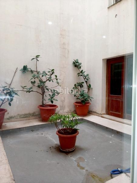 Foto 10e2be3d-e094-4e74-b107-a7ad73b873f8. Lloguer planta baixa a Alameda - Mentidero - Teatro Falla Cádiz