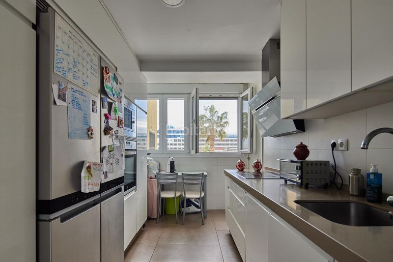 Foto c1b4d46b-dd39-48f1-8a6e-f2b6c1c35905. Pis a Alameda - Mentidero - Teatro Falla Cádiz