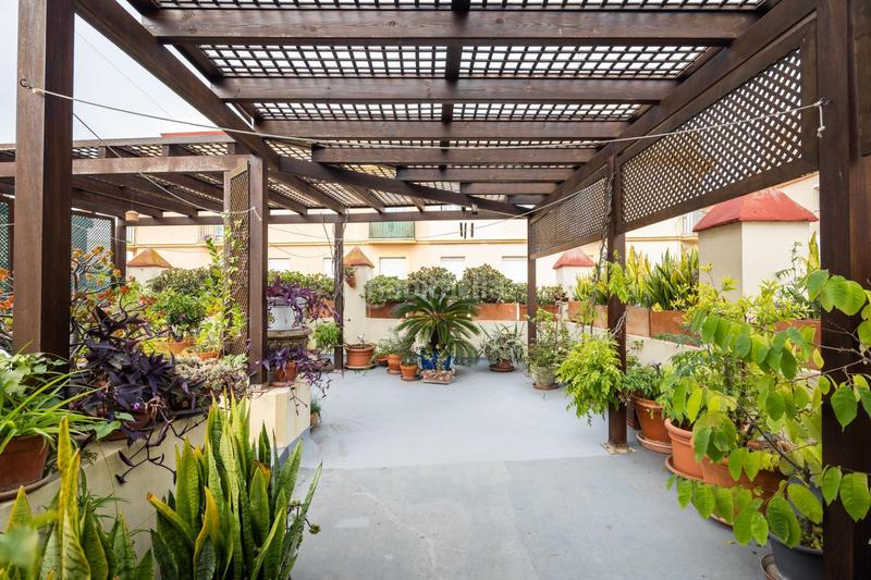 Foto 5f3f3504-8b68-4a7d-8d3e-35869e158e2d. Maison dans Alameda - Mentidero - Teatro Falla Cádiz