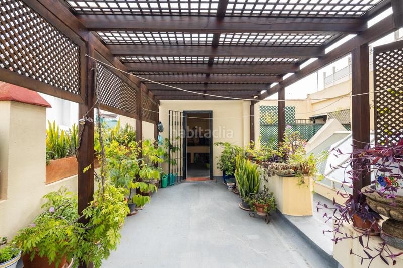 Foto 7205d248-61e9-460a-a850-26adcf04f096. Maison dans Alameda - Mentidero - Teatro Falla Cádiz