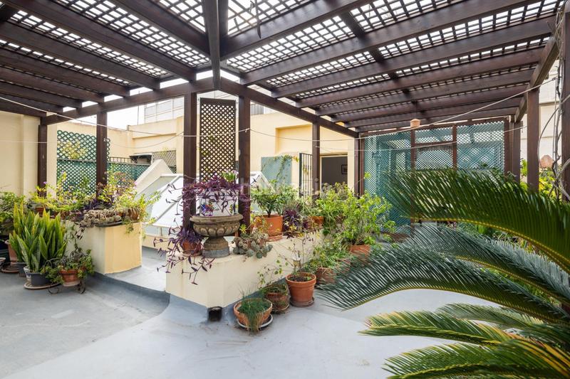 Foto 95fb73fc-0bf3-4217-a1cd-a2b61a22f988. Maison dans Alameda - Mentidero - Teatro Falla Cádiz