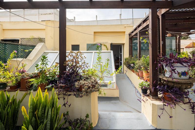 Foto cb19b717-05d1-40dc-ab92-e1ac0c3d186c. Maison dans Alameda - Mentidero - Teatro Falla Cádiz