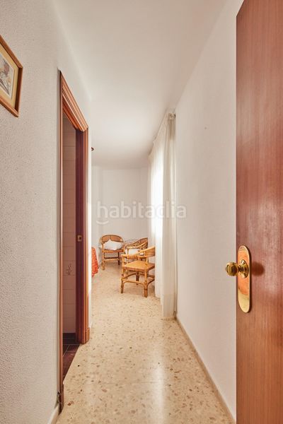 Foto edc63675-0418-4a08-8058-910d5fbc3d7e. Pis a Centro Jerez de la Frontera