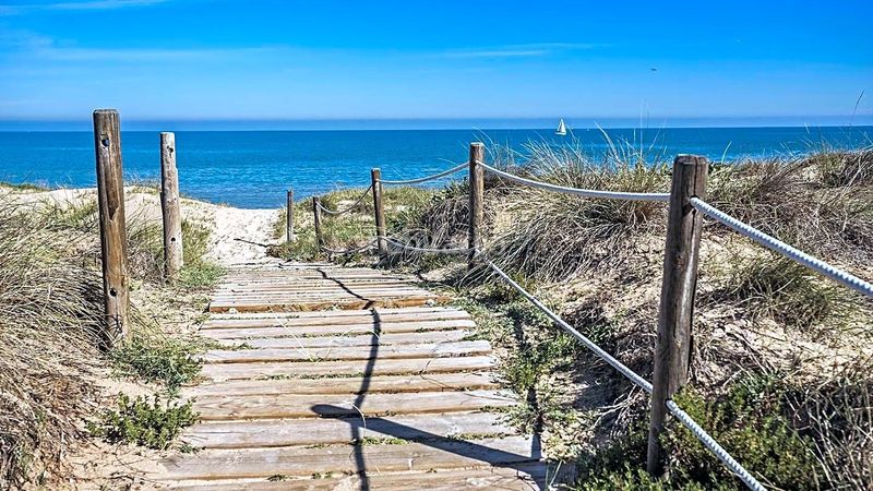 Foto da63ba4c-c4e6-476c-b8d3-b78883a2dafd. Pis a Oliva playa Oliva