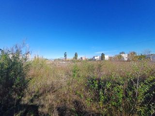 Terreno residencial en Oliva Nova