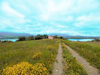 Residential Plot en Vi�uela. Finca r�stica junto al embalse de la vi�uela
