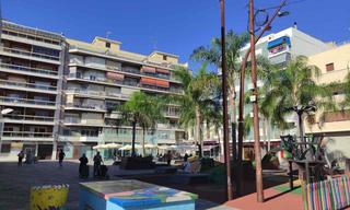 Planta baixa  Mercat. Alg137  pisoplanta baja de 380m2 en la plaça del mercat de algem