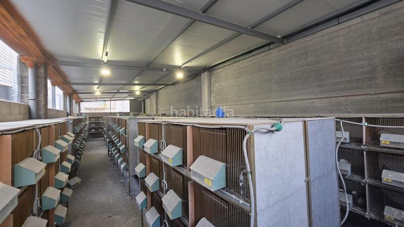 Foto 884df620-c1ec-48ce-8271-7f5f6115bf03. Fabrikhalle in Algemesí