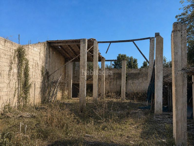 Foto a92d69c5-9f1f-44f7-be96-6d76e88275cd. Casa a Algemesí