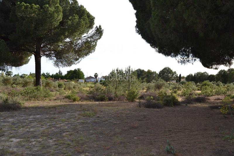 Foto 035b1626-0df6-46f2-bc97-793fe6af59fe. Terreno residencial suelo urbanizable de 11098 m2 en Hinojos