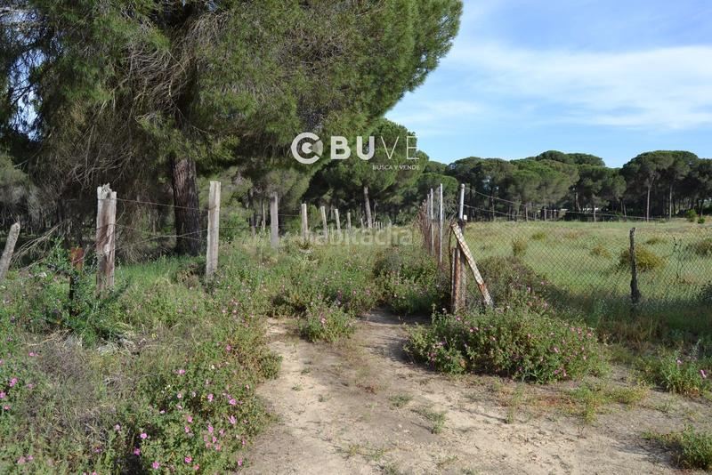 Foto 0bb78086-a078-4d70-9728-01c66164f38a. Terreno residencial suelo urbanizable de 11098 m2 en Hinojos