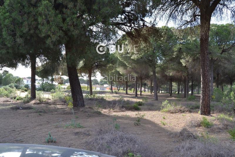 Foto 290bb624-3199-4bf6-86bd-462b4c28904a. Terreno residencial suelo urbanizable de 11098 m2 en Hinojos