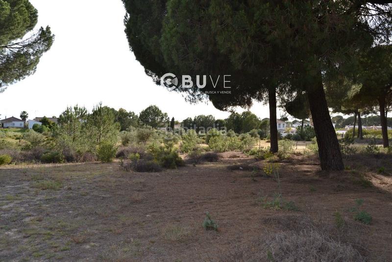 Foto 2b5d4d2b-b640-417d-9f32-3c7a8f64d47b. Terreno residencial suelo urbanizable de 11098 m2 en Hinojos