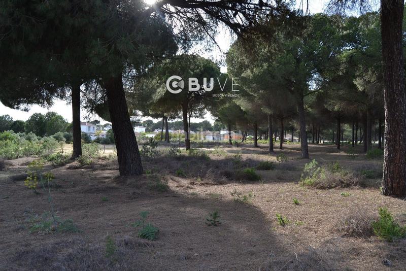 Foto 7ce689c9-4f55-419f-a460-5a3759b6faa4. Terreno residencial suelo urbanizable de 11098 m2 en Hinojos