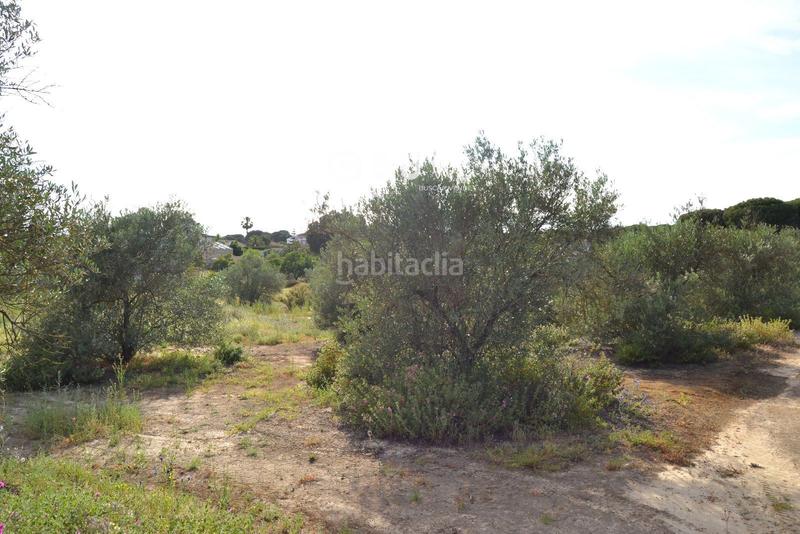 Foto 86f8cb0e-9a62-4523-92c5-637294ca5d5d. Terreno residencial suelo urbanizable de 11098 m2 en Hinojos