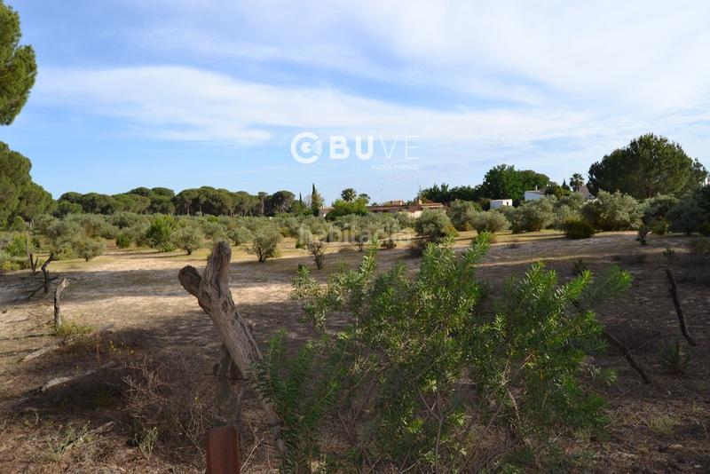 Foto 90136b9c-ddbb-42c3-9b20-def7488d035d. Terreno residencial suelo urbanizable de 11098 m2 en Hinojos