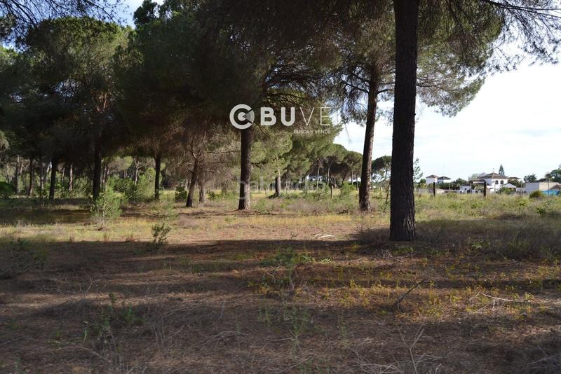Foto 9884ab90-be75-4843-b11d-1c6a1837b194. Terreno residencial suelo urbanizable de 11098 m2 en Hinojos