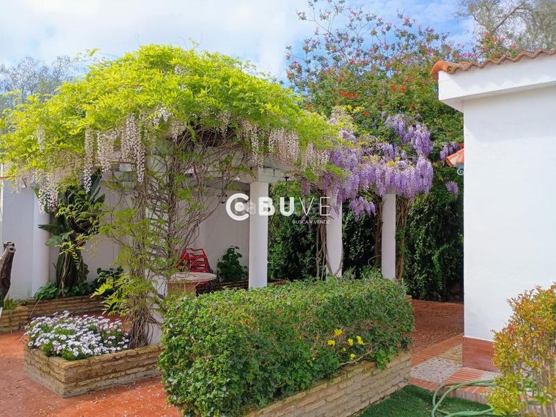 Foto 7b1b8fb7-6b3d-494f-9e91-f413edbf3fcb. Casa se vende chalet independiente en utrera en Palmar de Troya (El)