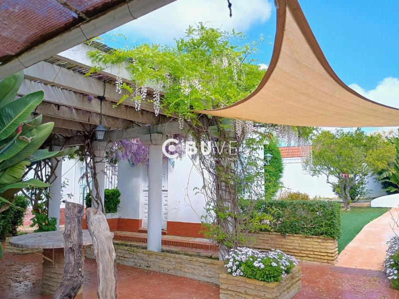 Foto bbe7bd85-3b2e-4a0c-8fc4-75508946fafc. Casa se vende chalet independiente en utrera en Palmar de Troya (El)