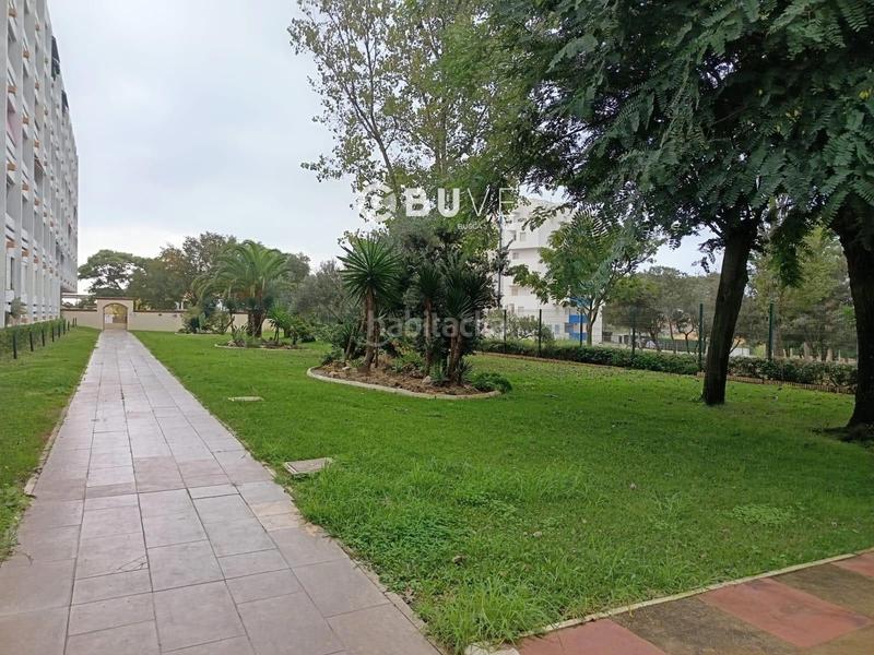 Foto 75034b2e-90c2-42eb-b1d1-354c899903c2. Estudio se vende estudio en matalascañas con vistas al mar en Almonte