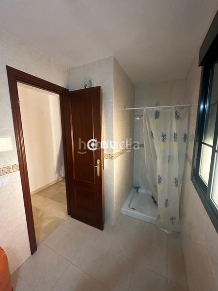 Foto 9f58ad4c-5c58-4c50-b4d1-b01e38f6adcf. Pis a Constantina