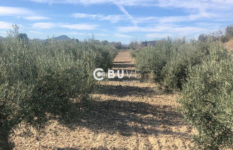 Foto d899025e-5299-4399-981a-cfc31a073069. Casa amb calefacció aparcament a Ricote