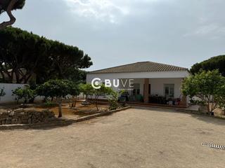 Chalet  De la barrosa. Chalet independiente en la barrosa santipetri