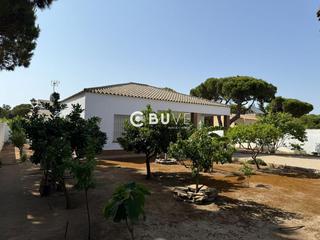 Chalet  De la barrosa. Chalet independiente en la barrosa santipetri