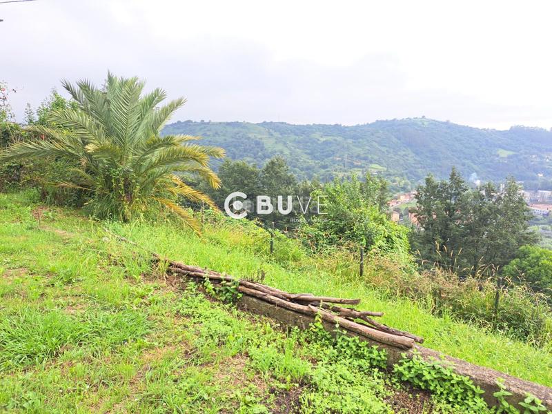 Foto ec8455e8-8754-4447-8f11-4501e5b7475f. Casa amb calefacció a San Claudio - Trubia - Las Caldas Oviedo