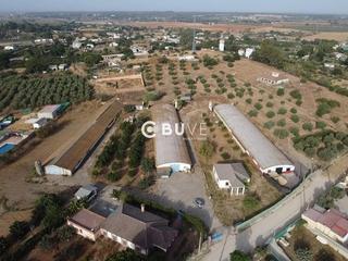 Finca rústica  N/a. Se vende parcela  rustico con nave en dehesa del rey